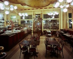 tumblr_m1m1r3mYN81r8yiss