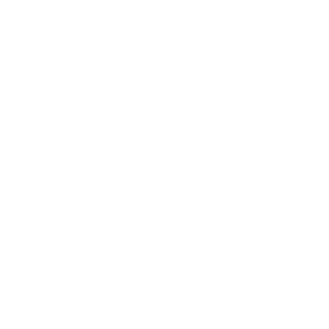 logo_white-300x300-2